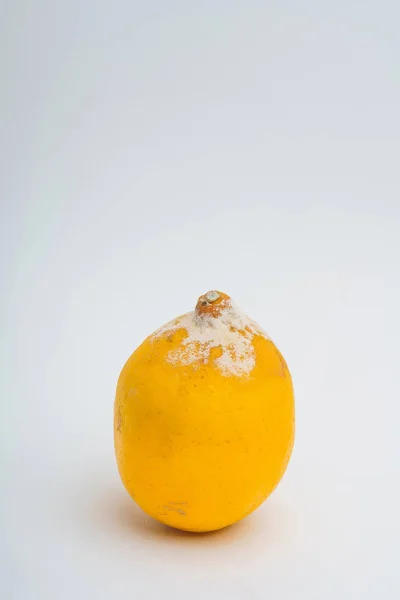 Limón Con Moho Sobre Fondo Blanco Limón Podrido Almacenamiento Inadecuado —  Fotos de Stock