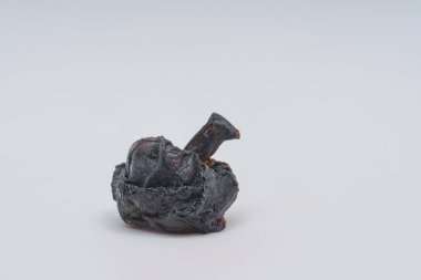 Beyaz bir arka planda şımarık mantar champignon. Kurutulmuş siyah mantar. Gıdaların uygunsuz korunması.