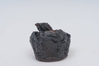 Beyaz bir arka planda şımarık mantar champignon. Kurutulmuş siyah mantar. Gıdaların uygunsuz korunması.