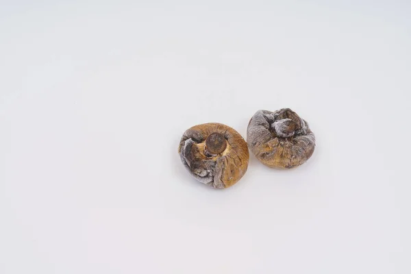 Ciuperci Champignon Răsfățate Congelate Fundal Alb Ciuperci Negre Uscate Conservarea — Fotografie, imagine de stoc