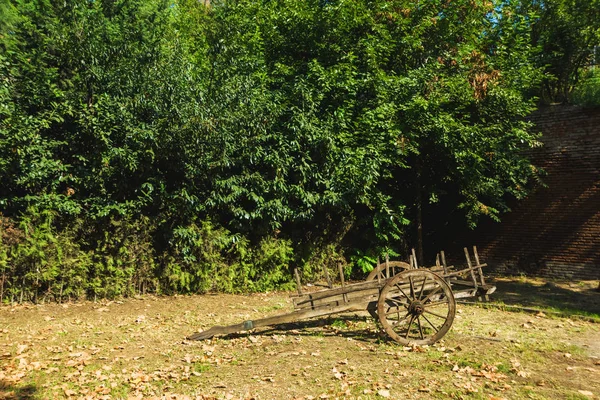 Старая Деревянная Повозка Лошади Сельское Хозяйство Джорджии Поездка Кутаиси Деревянный — стоковое фото