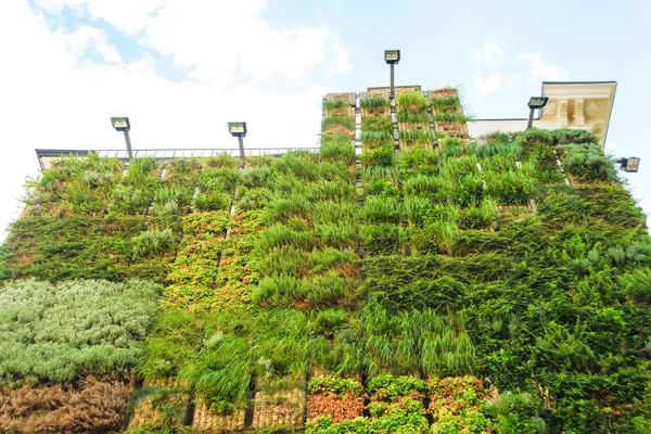 Jardín Verde Vertical Edificio Descanse Georgia Paseo Por Ciudad Tbilisi — Foto de Stock