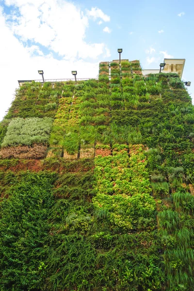 Jardín Verde Vertical Edificio Descanse Georgia Paseo Por Ciudad Tbilisi — Foto de Stock