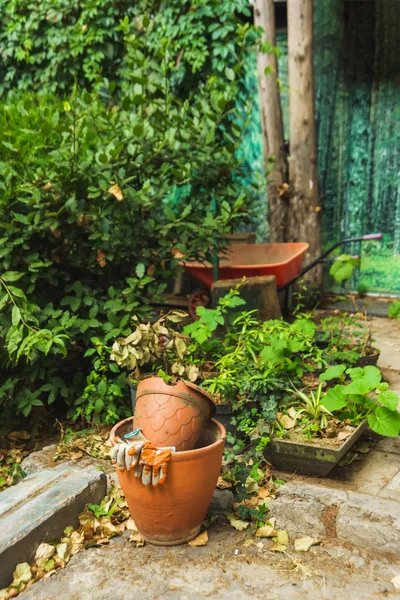 セラミックポットの植物が通りにいます ガーデンの装飾 トビリシの古い家 ジョージアで休む — ストック写真