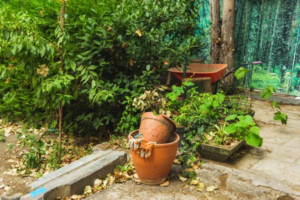 陶瓷盆中的植物在街上 花园装饰 第比利斯的老房子 在佐治亚州休息 — 图库照片