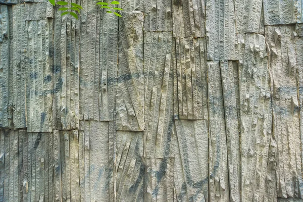 人工石塗りの質感 トビリシの建築 人工石で建物の装飾 — ストック写真