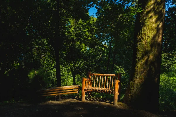 Uitzicht Zwarte Zee Vanaf Het Observatiedek Van Botanische Tuin Rust — Stockfoto