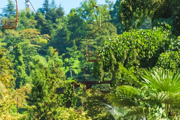 Τελεφερίκ Πάνω Από Καταπράσινα Δέντρα Βοτανικός Κήπος Στο Μπατούμι Αναπαύσου — Φωτογραφία Αρχείου