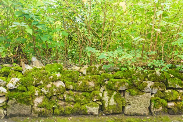 Starý Kamenný Plot Pokrytý Zeleným Mechem Velké Balvany Dláždění Odpočívej — Stock fotografie