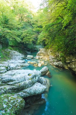 Nehir boyunca büyük kayalar ve kayalar. Okatse Kanyonu. Georgia'da dinlenin. İmereti bölgesinde doğa.