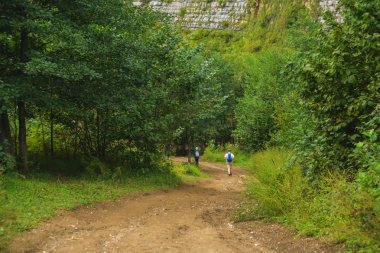 İnsanlar yeşil ağaçların arasındaki yolda yürüyorlar. Imereti bölgesinde doğa. Okatse Kanyonu'na seyahat. Gürcistan'da dinlenme.