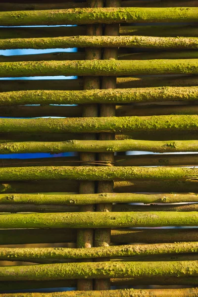 Weidenzaun Aus Bambus Umwelt Natürlicher Baustoff Textur Aus Gewebtem Bambus — Stockfoto