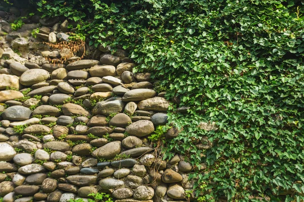 Stone fence overgrown with green plants. Rest in Georgia. The texture of the fence of stones. Green plants on the rocks.