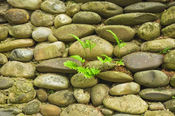 Kőkerítés Nőtt Zöld Növények Pihenés Grúziában Mintázat Kerítés Kövek Zöld — Stock Fotó