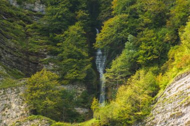 Okatse nehrinin kanyonunda Kinchkha Şelalesi. Georgia 'da dinlenin. Imereti bölgesinde yüksek şelale. Yeşil ağaçlar ile dağın kayalık çıkıntıları.