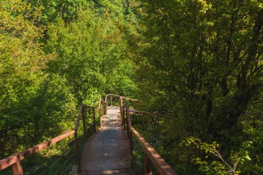Ağaçlar arasındaki metal köprü. Okatse Kanyonu'na seyahat. Georgia'da dinlenin. Dağlar yeşil ağaçlarla büyümüş. Okatse kanyonunda köprüde yürüyün.