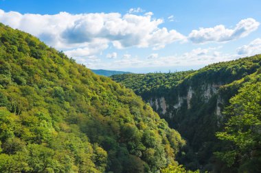 Okatse Kanyonu. Georgia'da dinlenin. Imereti bölgesinde doğa. Dağların kayalık çıkıntıları yeşil ağaçlarla büyümüş..