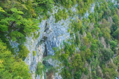 Okatse Kanyonu. Georgia'da dinlenin. Imereti bölgesinde doğa. Dağların kayalık çıkıntıları yeşil ağaçlarla büyümüş..