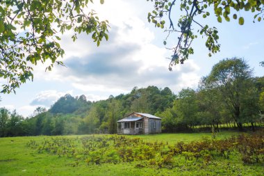 Doğada eski ahşap ev. Georgia 'da dinlenin. Kutaisi 'de yürü. Yeşil ağaçların bir arka planda Vintage ev.