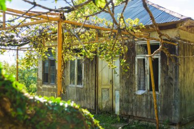 Eski ahşap ev. Eski evle ilgili üzüm bağı. İmereti bölgesinin doğası. Gürcistan'da dinlenme.