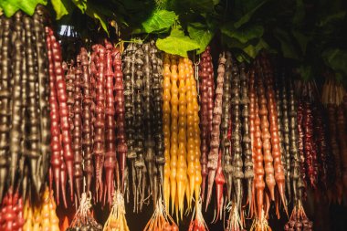 Geleneksel Gürcü mum şeklinde şeker Churchkhela. Tiflis 'te piyasada demetleri cevizli sucuk. Geleneksel Gürcü tatlı Hediyelik eşyalar.