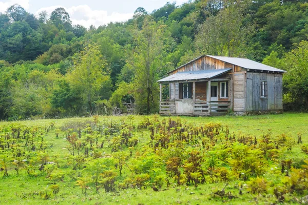 Old wooden house in nature. Rest in Georgia. Walk in Kutaisi. Vintage house on a background of green trees.