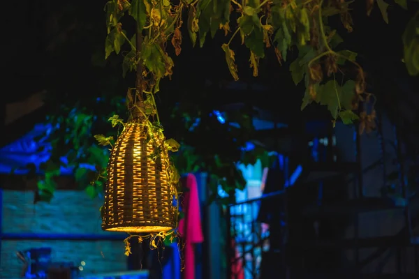 Restoranın yaz terasında hasır lambalar bulunmaktadır. Üzüm ile büyümüş gölgelik. Üzüm bir asma arka planda çelenk dahil.
