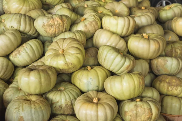 Zucche Colorate Mercato Tbilisi Diverse Varietà Zucca Consistenza Una Varietà — Foto Stock