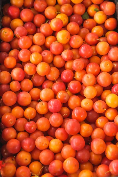 The texture of an orange plum. The fruit stand at the market in Tbilisi. Orange plum fruit. Rest in Georgia.