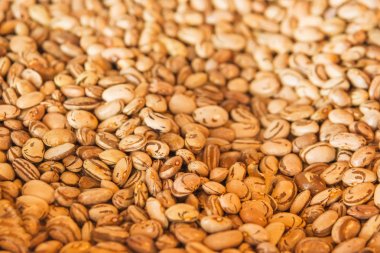 Torbalarda piyasada çok renkli fasulye. Georgia 'da lobio için fasulye. Kırmızı ve beyaz fasulye. Fasulye dokusu.