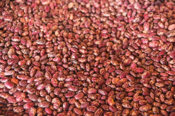 Feijão Multicolorido Mercado Sacos Feijões Para Lobio Geórgia Feijão Vermelho — Fotografia de Stock