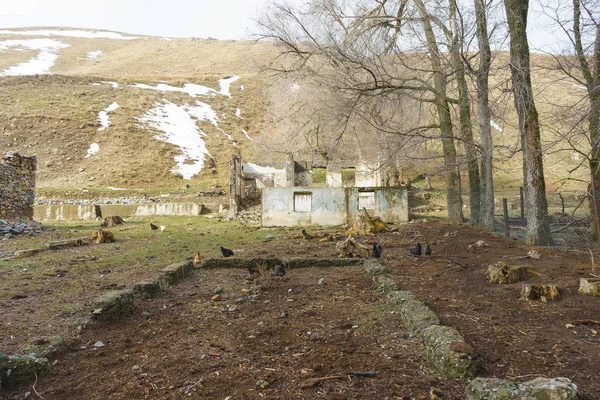 The village of Bayzhansay in the Turkestan region of Kazakhstan. Abandoned mining village. Ruins of old architecture. Chickens graze on the background of dilapidated houses.