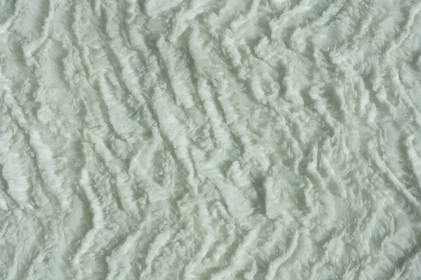 Texture Pelliccia Corta Bianca Sfondo Astratto Bianco Bianco Pelliccia Artificiale — Foto Stock