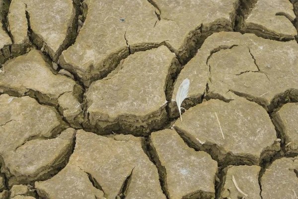 Textura Solo Seco Rachado Argila Natureza Quirguizistão Rachaduras Fracturas Superfície — Fotografia de Stock