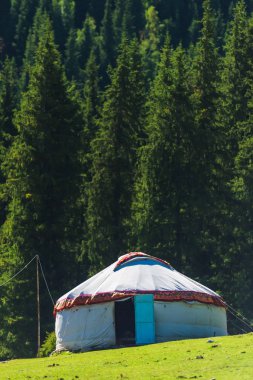 Yeşil kozalaklı ağaçların arka planında Beyaz Yurt. Kırgızistan 'da dinlen. Issyk-Kul Gölü 'ne gezi. Kırgız ulusal konut çerçevesi.