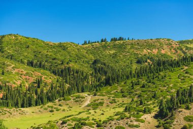 Dağ geçidi Jety Oğuz. Dağın yamaçlarında yeşil iğne yapraklı ormanlar. Kırgızistan'da dinlenin. Issyk Kul Gölü bölgesinde doğa.