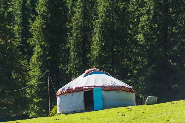 Witte Yurt Achtergrond Van Groene Naaldbomen Rust Uit Kirgizië Reis — Stockfoto