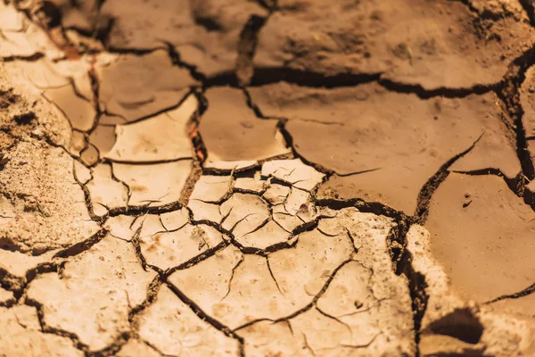 The texture of dry cracked clay soil. Nature of Kyrgyzstan. Cracks and fractures on the earth\'s surface.