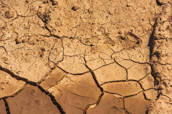 The texture of dry cracked clay soil. Nature of Kyrgyzstan. Cracks and fractures on the earth\'s surface.