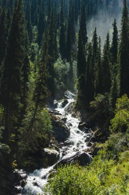 Barskoon geçidindeki nehir. Dağların yamaçlarında yeşil kozalaklı yetişir. Kırgızistan'da dinlenin. Issyk-Kul gölüne gezi.