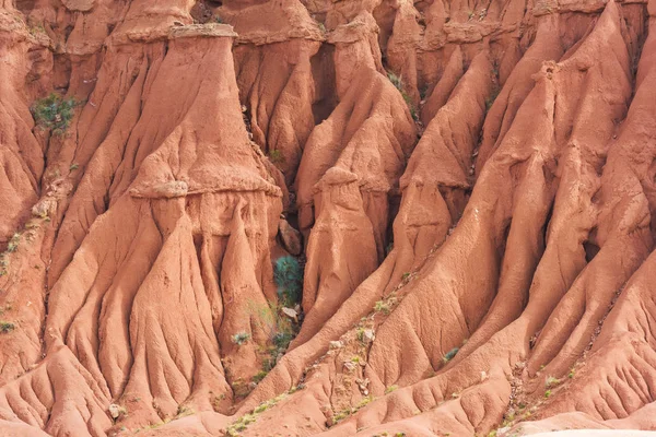 Kırgızistan Kanyon Masalı Kumlu Kırmızı Oluşumlar Kanyonun Tepelik Alanı Issyk — Stok fotoğraf