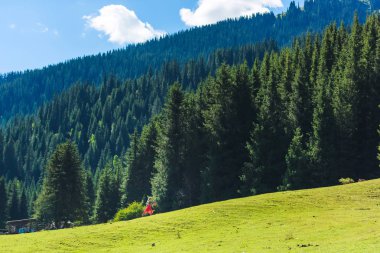 Kırgızistan dağlarında ormanda kız. Kırgızistan'da İssyk Kul'da büyük ladin ağaçlarının arka planında kadın. Yaz aylarında dağlarda güzel kız.