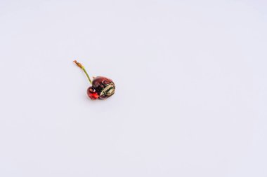 Beyaz bir arka plan üzerinde bozulmuş kiraz. Hafif bir arka plan üzerinde küflü tatlı kiraz. Buruşuk kırmızı dut. Meyvelerin yanlış depolanması ve taşınması. Çürük kiraz