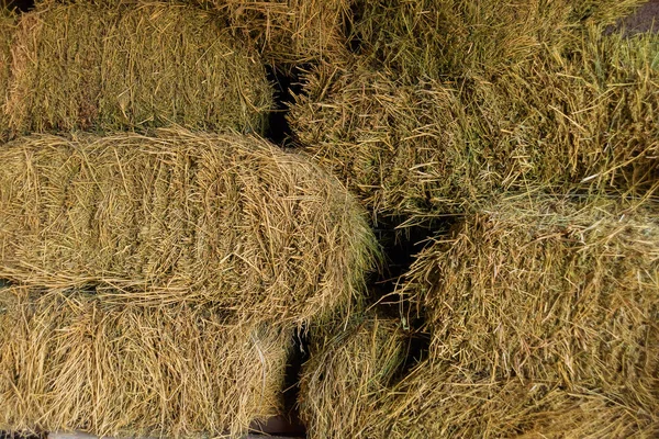 Texture of dry hay. Fodder. Dried grass stems and leaves.