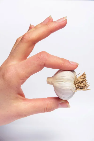 Knoblauchköpfe Auf Weißem Hintergrund Krautige Pflanze Mit Scharfem Geschmack Knoblauchknolle — Stockfoto