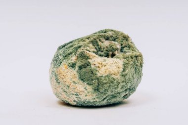 Yeşil kalıplı turuncu. Bozulmuş narenciye. Yiyeceklerin üzerine küf. Meyve üzerindeki bakteriler.