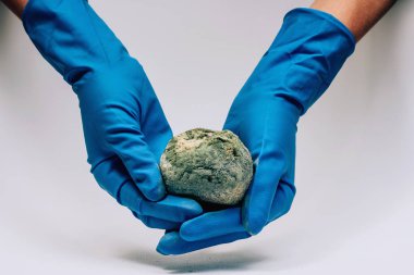 Beyaz bir arka plan üzerinde mavi eldiven kadın elinde kalıp ile bozulmuş nar. Elimizde ekolojik felaket var. Meyvelerin yanlış depolanması.