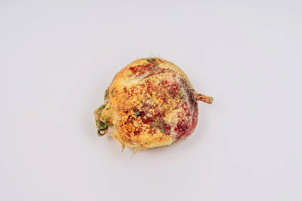 The texture of mold on a spoiled pomegranate. Pomegranate with mold on a white background. Spores mold and mildew on fruit. Old Garnet on a white background. Improper storage of fruit.