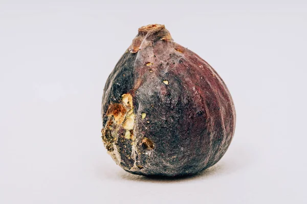Spoiled Figs White Background Rotten Ripe Figs Worms Fig — Stock Photo, Image