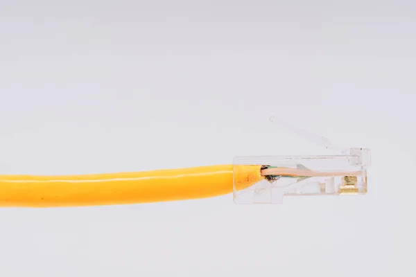 Internetkabel Gelb Netzwerkkabel Auf Weißem Hintergrund — Stockfoto